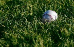 a baseball resting in green grass