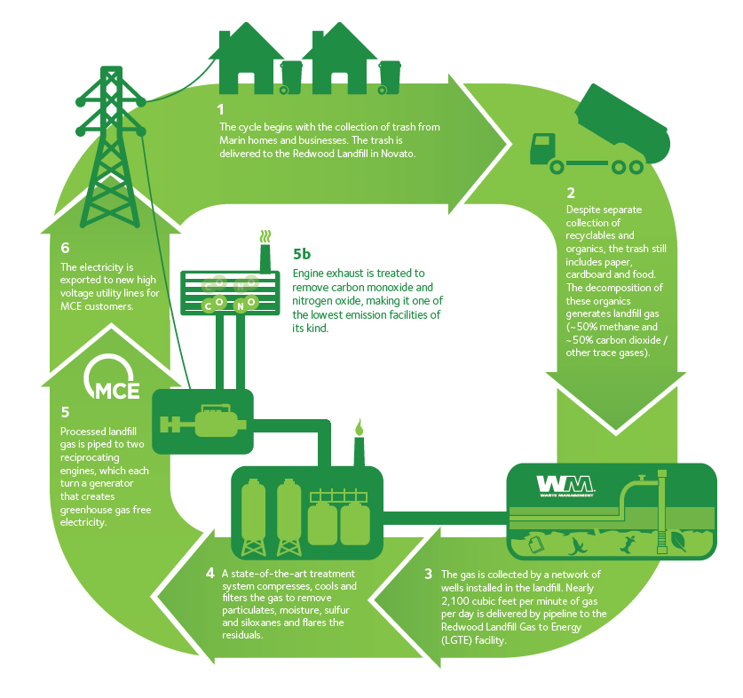 Diagram showing the process WM uses to turn landfill gas into renewable energy