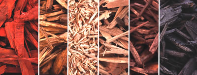 a graphic depicting the various available shades of WM EarthCare mulch