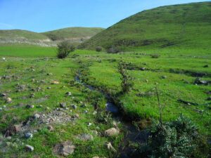 green hills around WM's guadalupe landfill in california