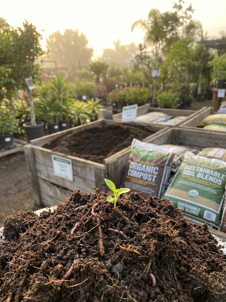 WM EarthCare™ Center