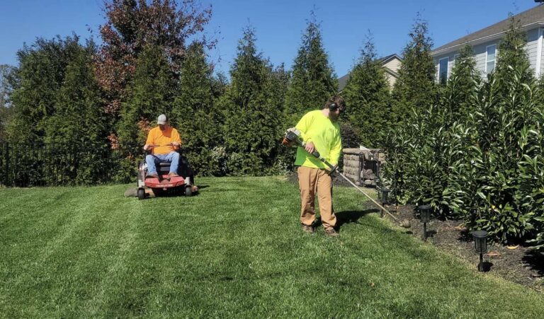 Why Fort Collins Landscapes Fail and How to Design Them to Last