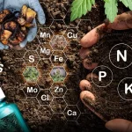 Hydroponic