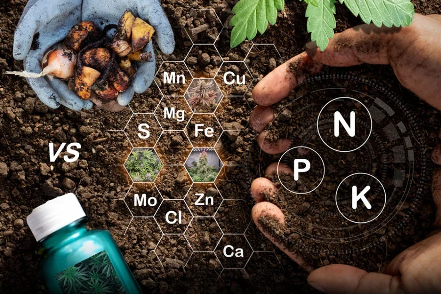 Hydroponic