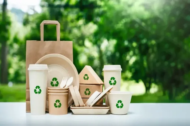 The Sustainability Mandate: Why Your Packaging Matters